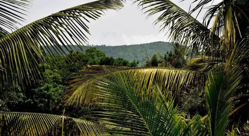 Green View