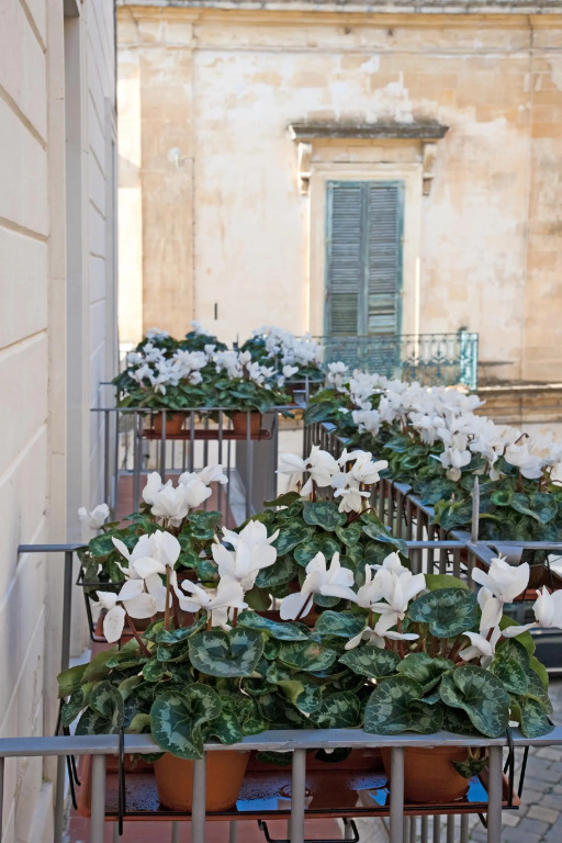Arco Vecchio Urban Suite - Epoca Collection