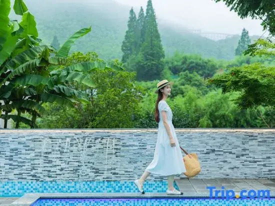 PALMETTO·Pool·Pampered Garden Meisu