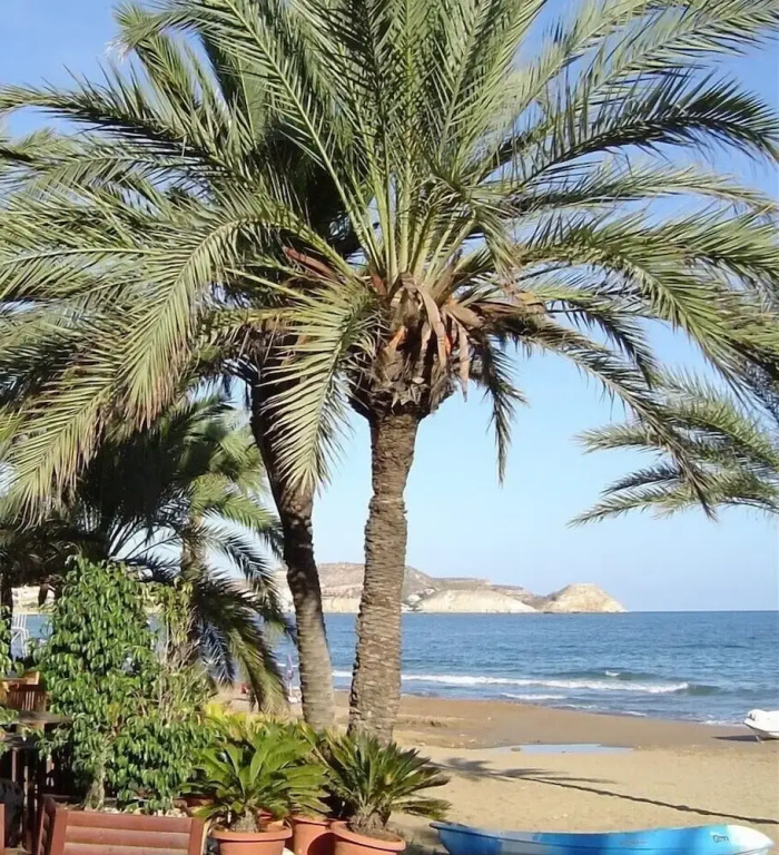 La Diosa Gaia in San Juan de los Terreros