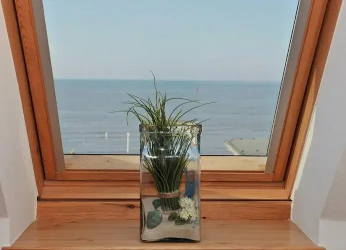 Seeblume