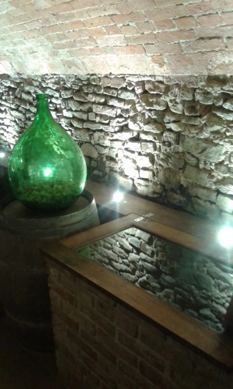 Agriturismo Schlin