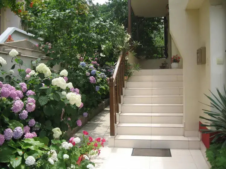 Guest House Katerkovi