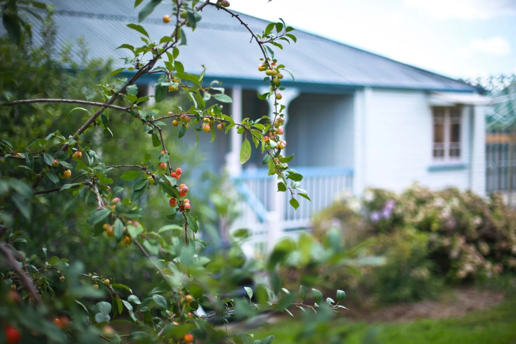 Apple Blossom Cottages