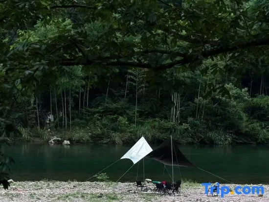 The northern mountain in Xianju has a plum tree named Su
