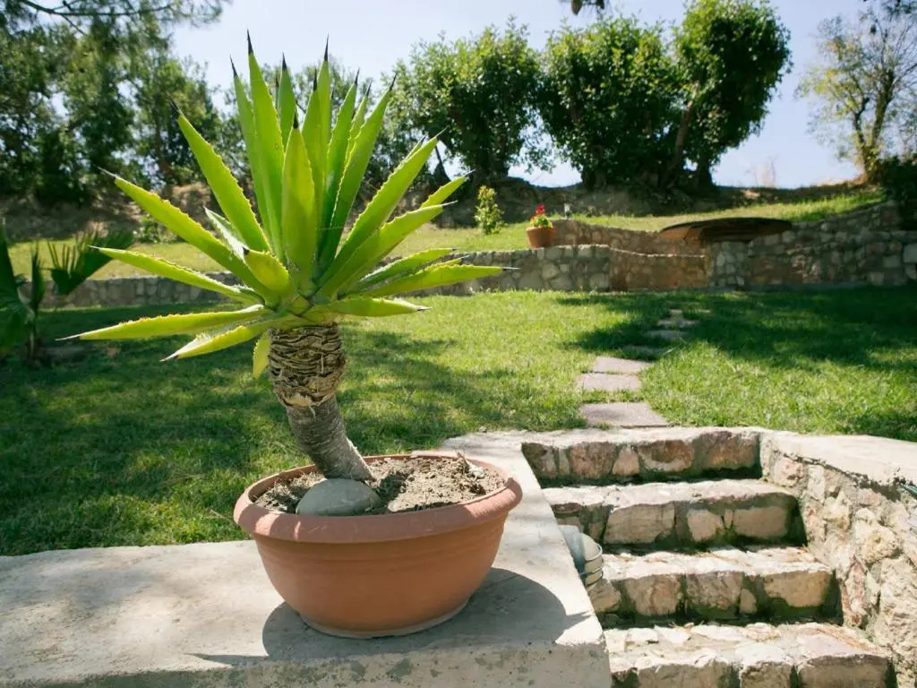 Villa Russelia