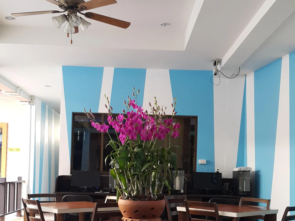 MT Hotel Patong