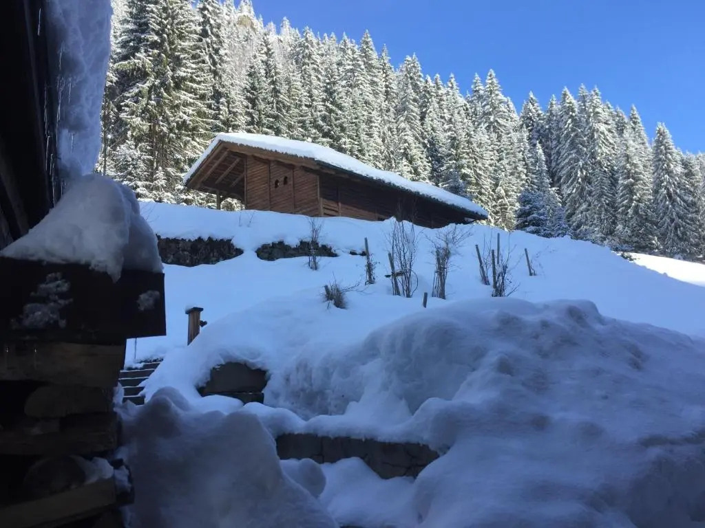 Chalet 1864