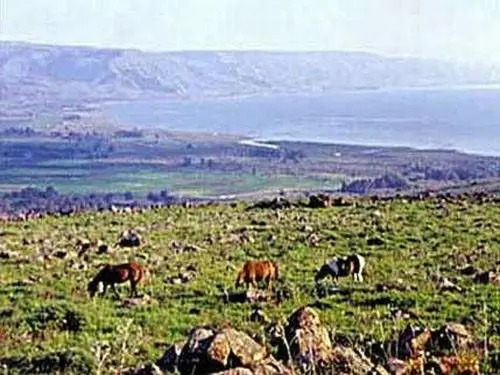 Carcom Lake View
