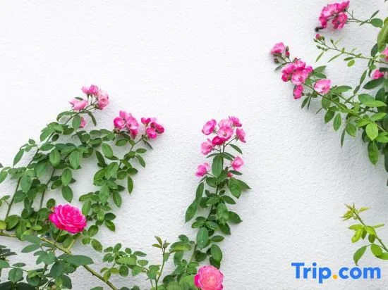 Xiangjingli Homestay