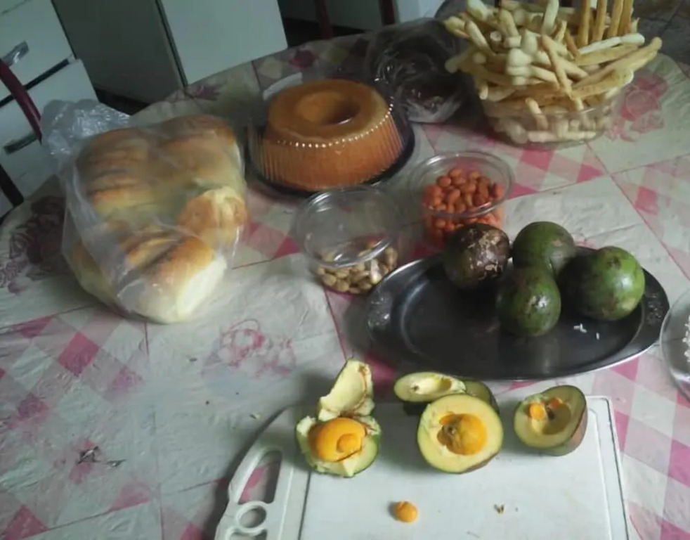 Aconchego dos schreiber