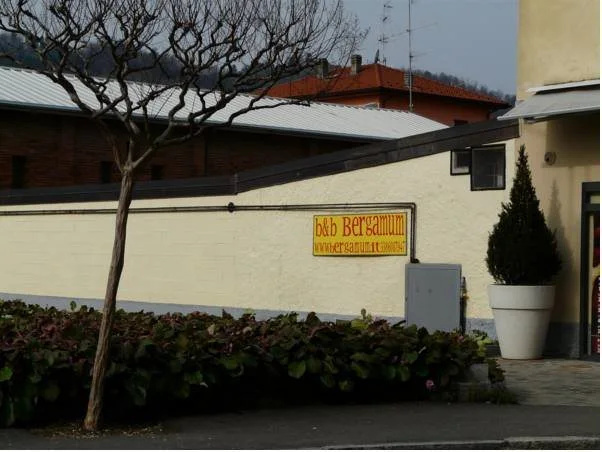 Bergamum F.L