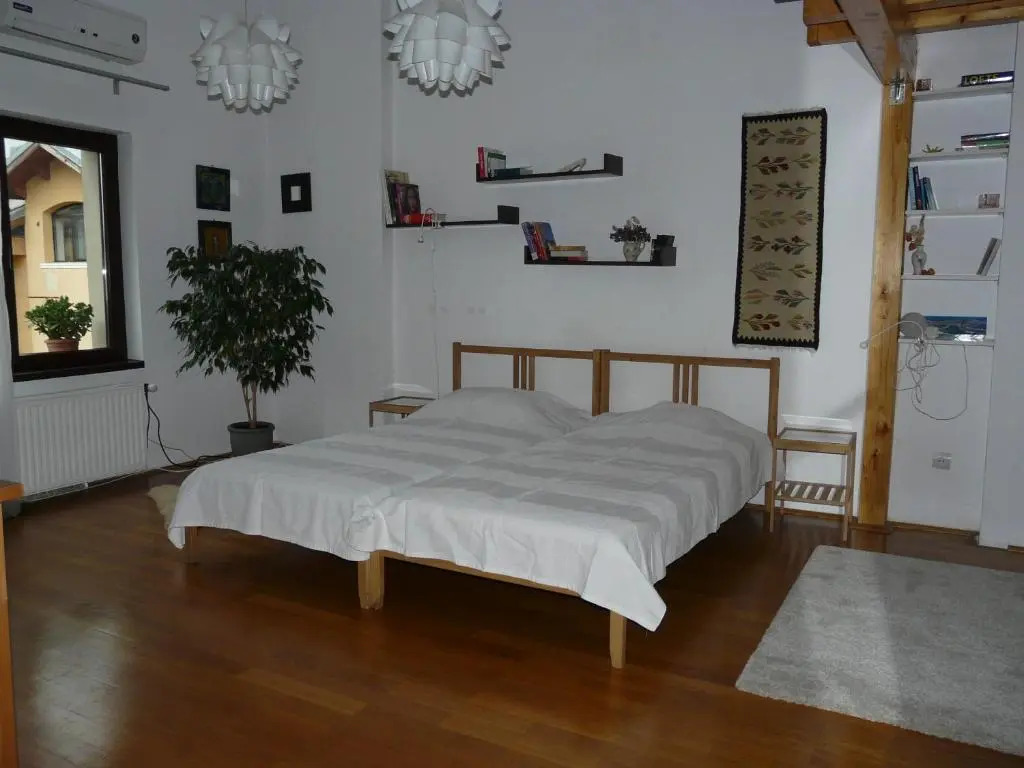 Cosy studio 55sqm, Cotroceni Area