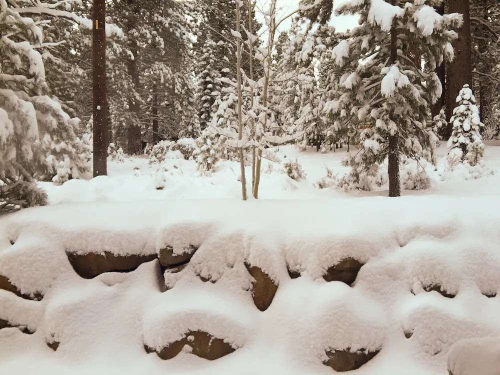 Walk Friendly Truckee House by RedAwning