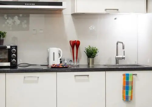 Amazing Apartment Old Town Smilsu Street