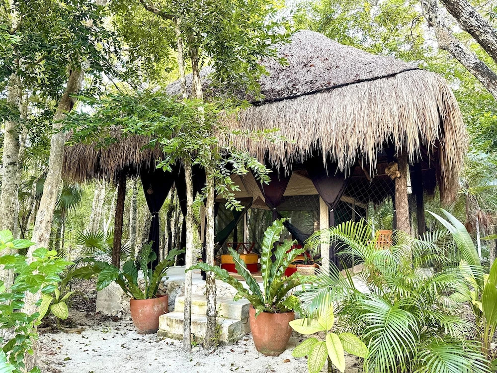 Glamping Bunga Lotus
