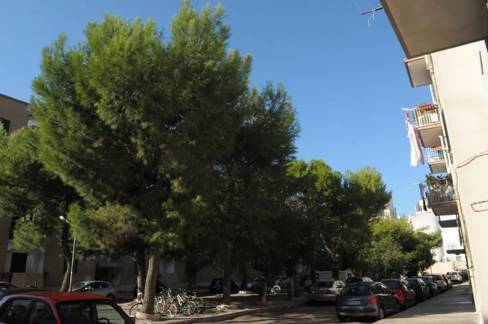 Della torre rooms