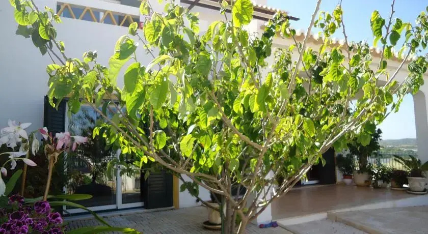 Sagres House