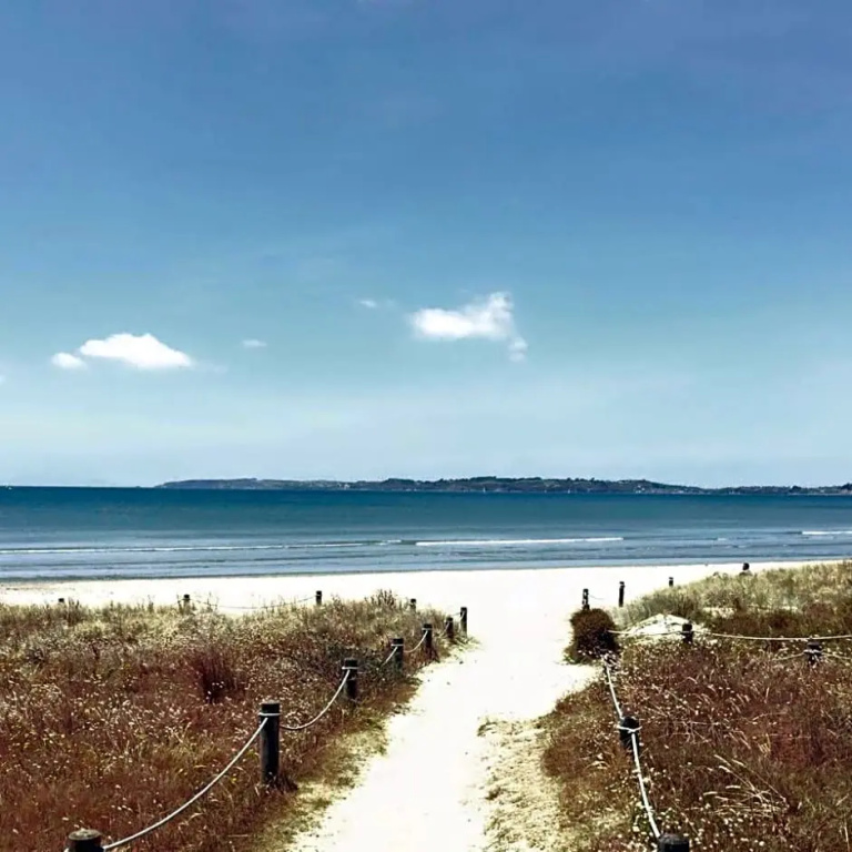 Orewa Beachcomber