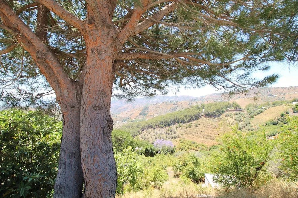 1075 Villa Rosa