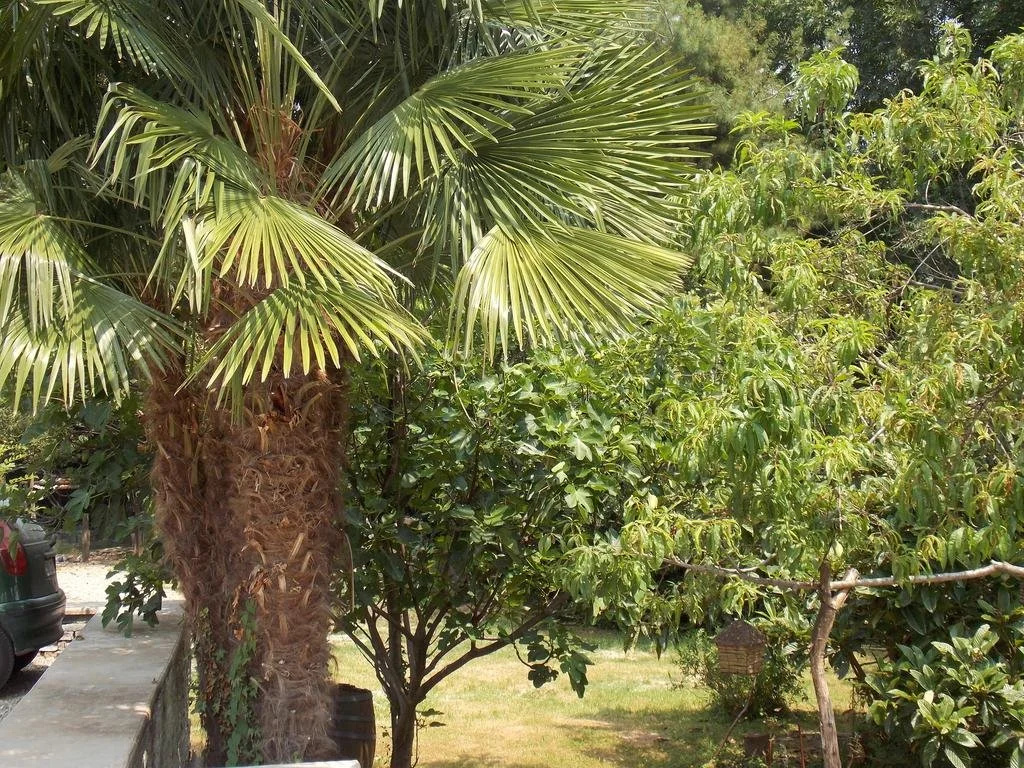 Resort BaccaBlu