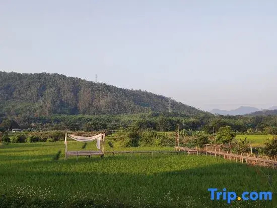 Wanruo Guli Daotianli Hostel