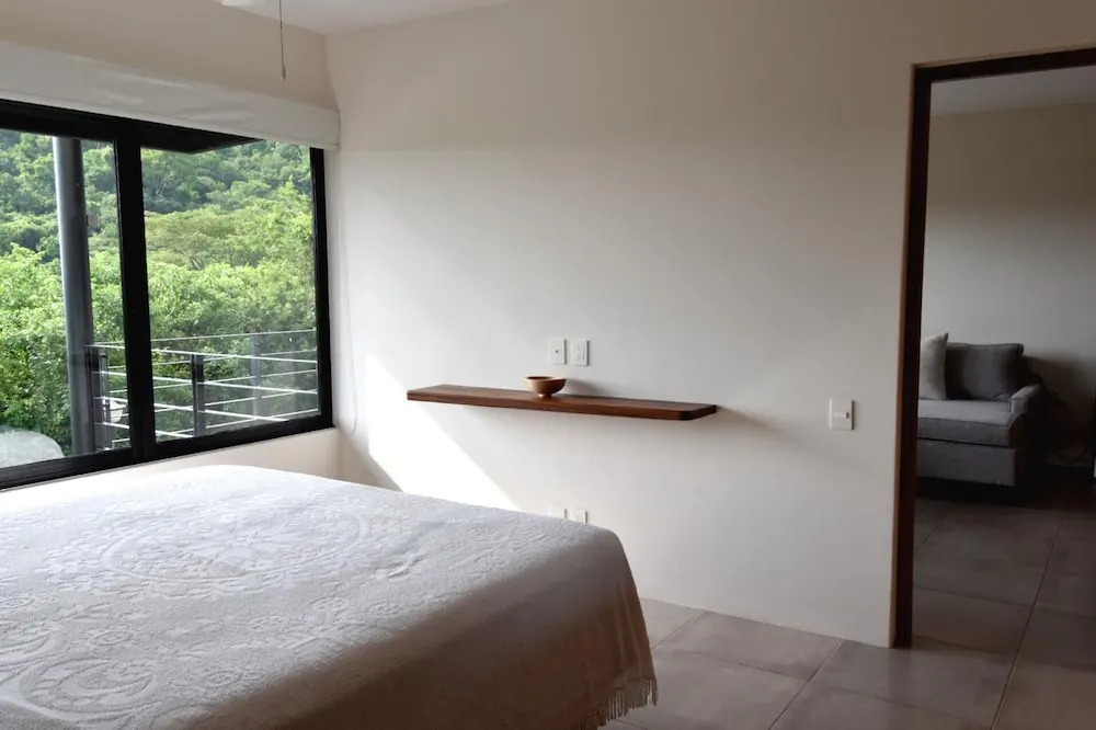 Agaves 203