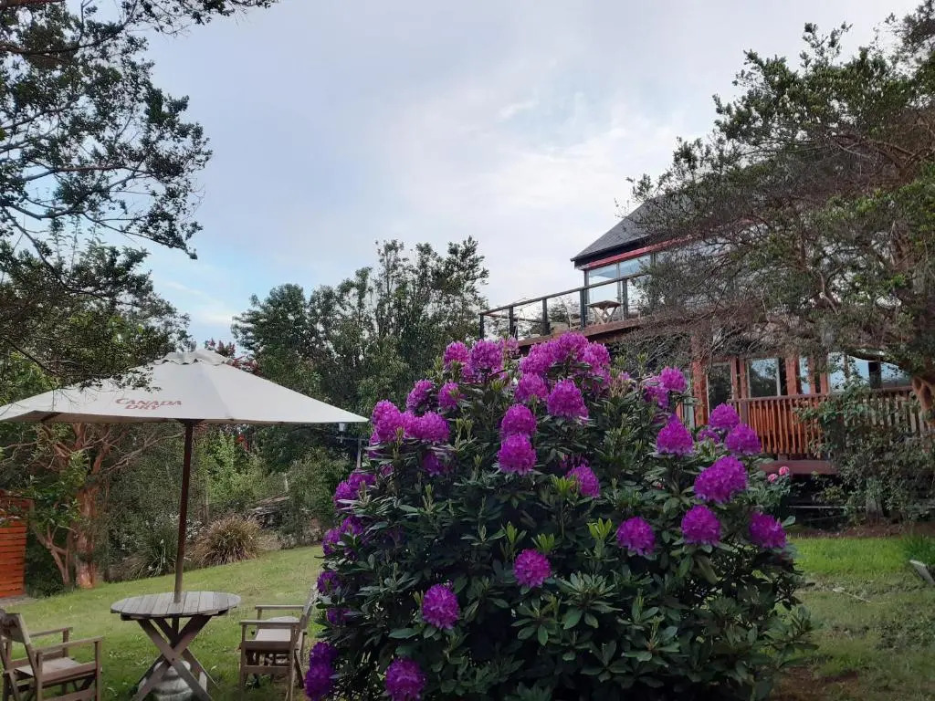Hostel Torobayo
