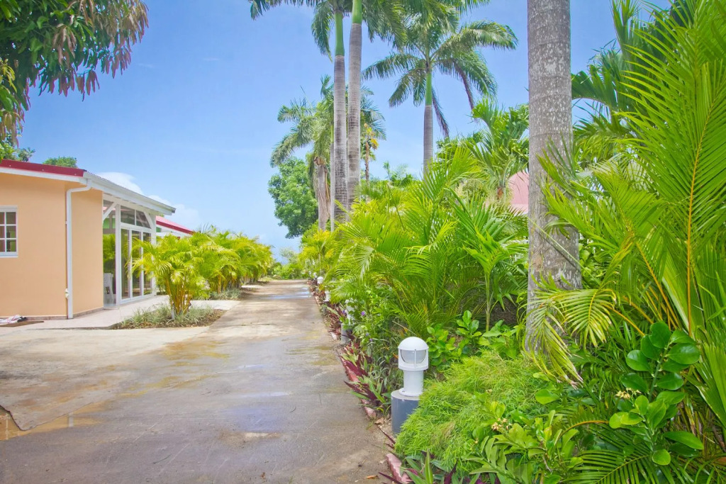 Hotel Oasis