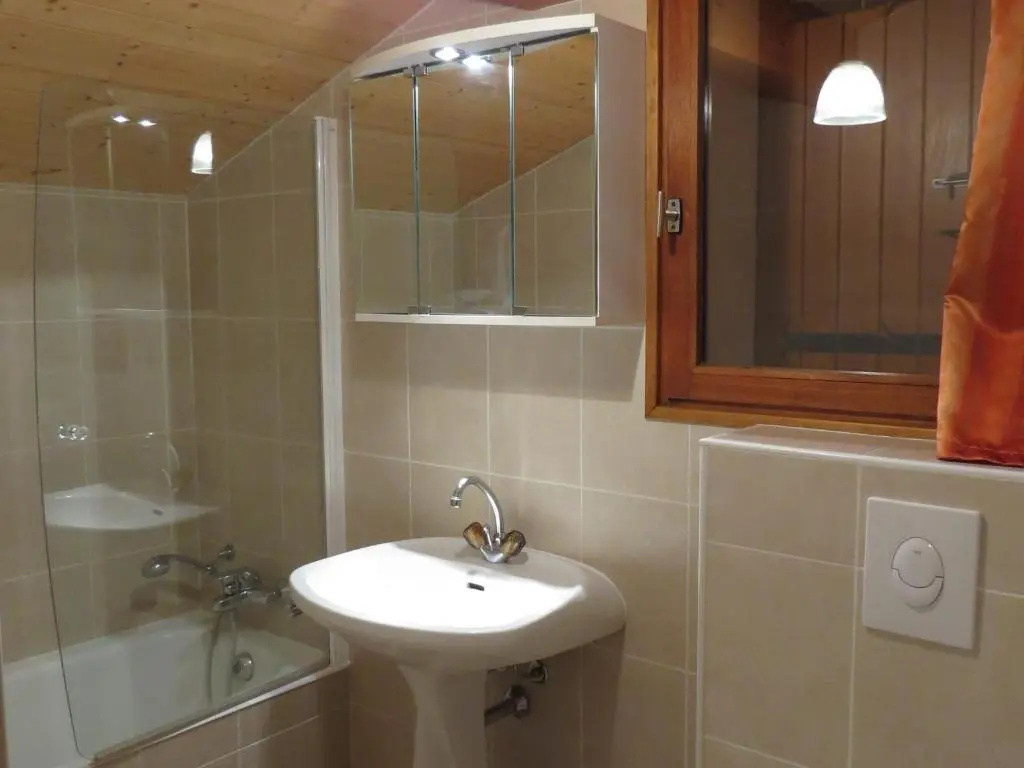 Appartement Le Grand-Bornand, 1 pièce, 3 personnes - FR-1-467-72