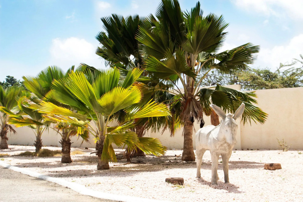 ABC Apartments Curacao