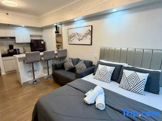 Davao Studio Unit at Abreeza Place Condo Near Mall