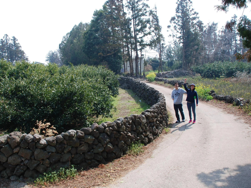 Jeju Eco Suites