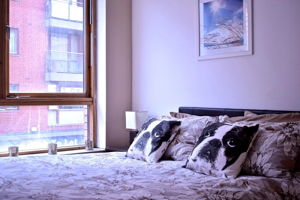 1 Bedroom Flat in Dublin With Balcony