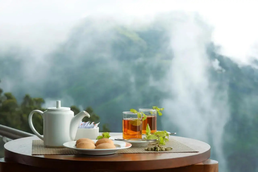 Amber Dale Luxury Hotel & Spa, Munnar