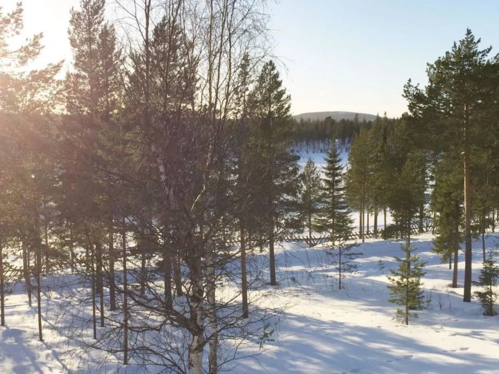 Sallanhelmi a2
