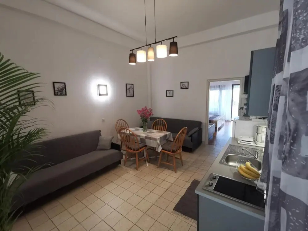 Apartment 1 RI Ruza 3 1 pax