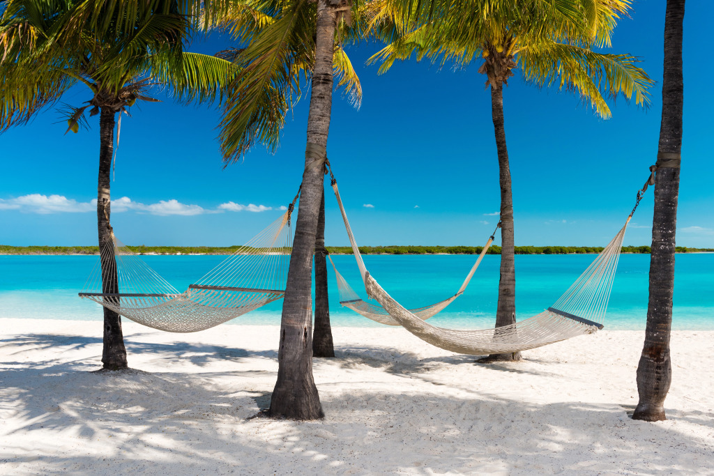Blue Haven Resort- All Inclusive