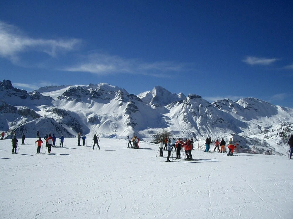Chalet Stefan - Apartments