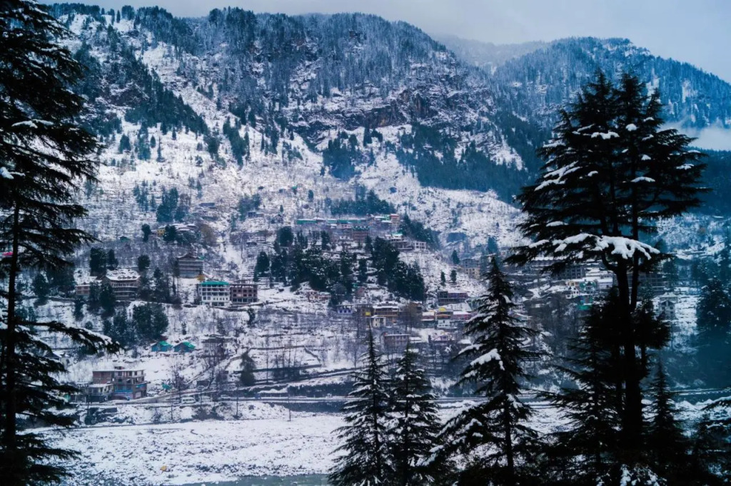 Alt Life Manali, Old Manali