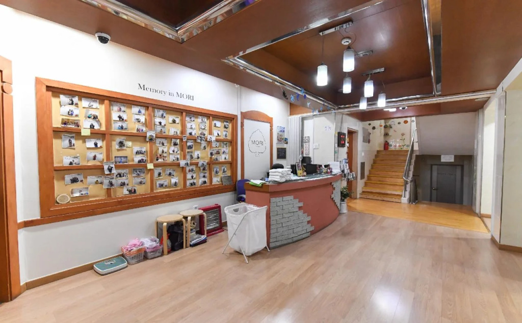 Mori Guesthouse - Hostel