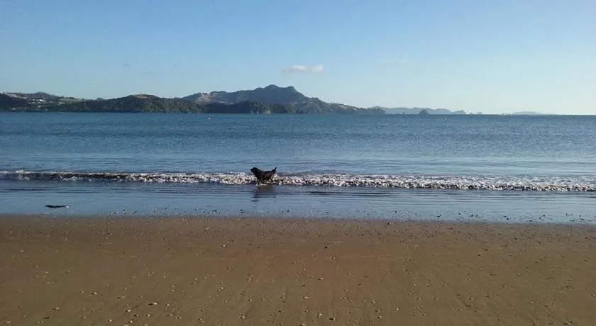 Whitianga Motel