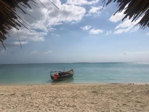 Royal Palm Kendwa