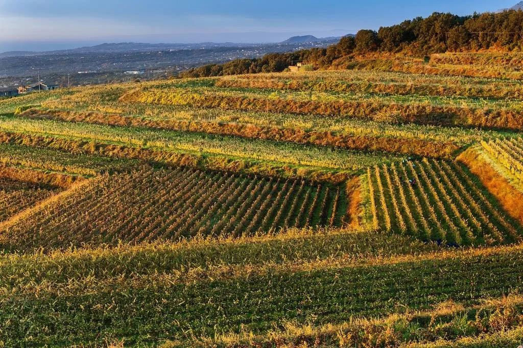 Wine Resort Villagrande