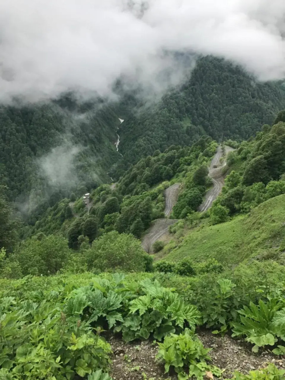 Samtsikhe