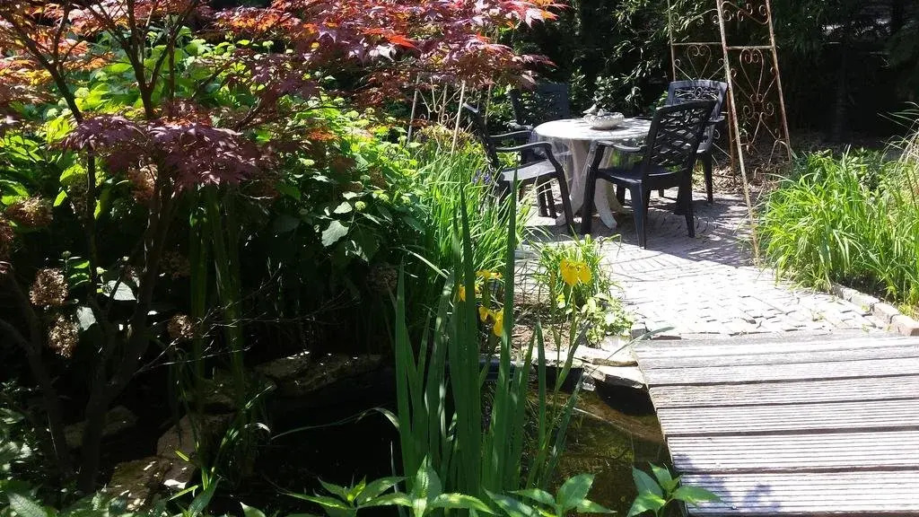The Queensbed by The Wellness Cottage