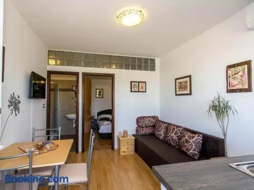 Apartment Bilic