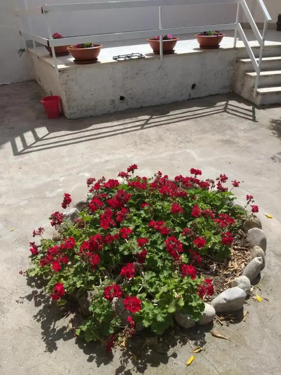 villa lucia