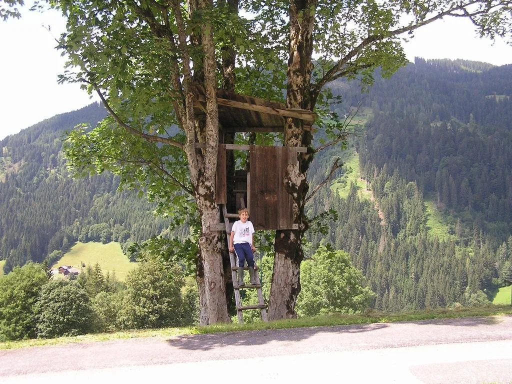 Bio-Bauernhof Nichlgut