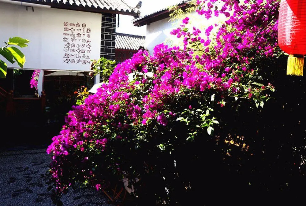 Delamu Inn